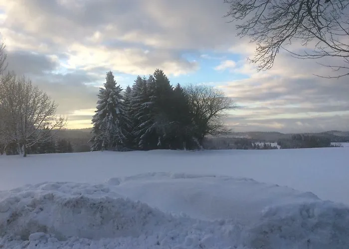 Ferienwohnung Harzblick 2