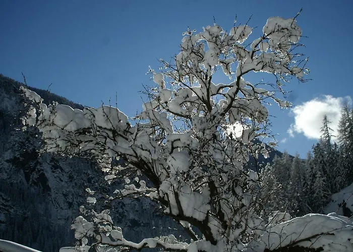 Des Alpes 2