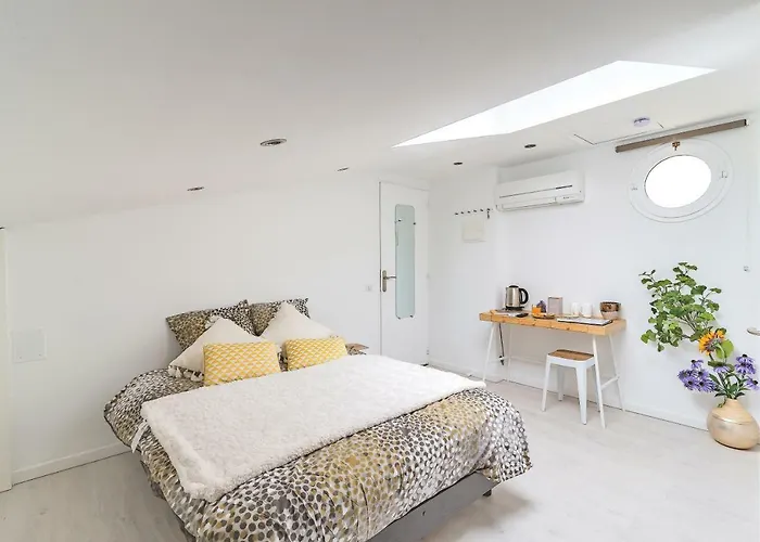 Chambre Et Appartements Entre Le Pont D Avignon Et Le Palais Des Papes - Ac Clim Parking