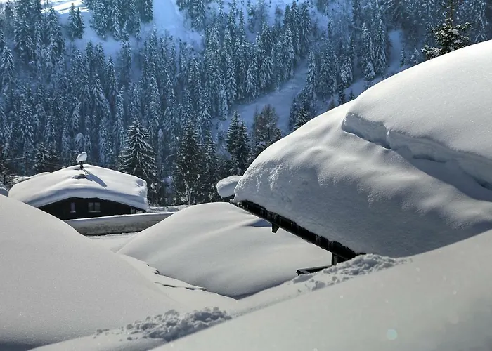 Studio "Children Of Powdersnow"
