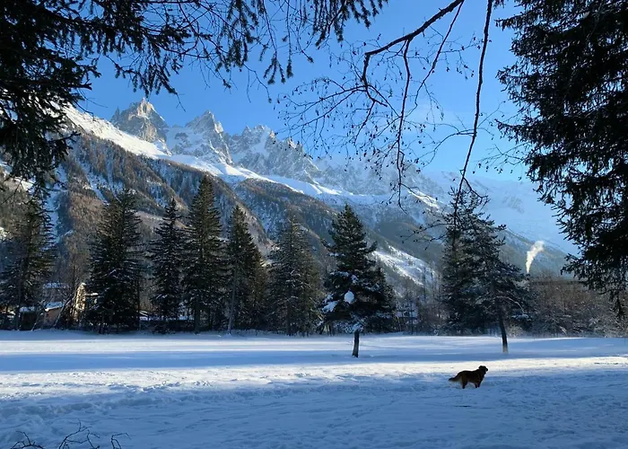 Apartment Maya, La Praz, Chamonix Mont Blanc