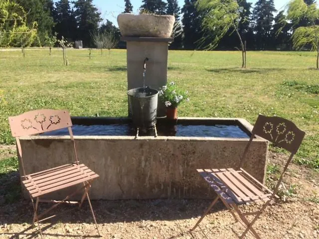 Safraniere Des Sorgues