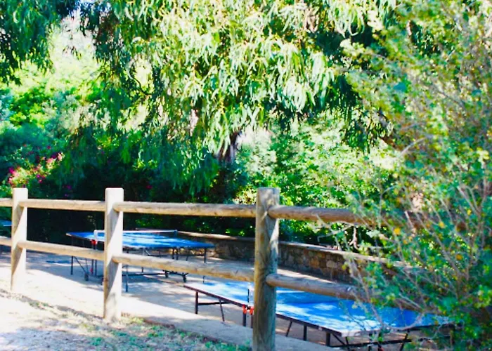Mazet « Domaine De La Pinede »