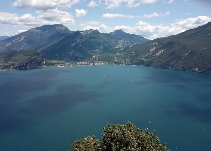 La Masera Holiday - Vigneto
