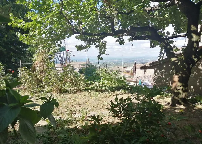Orto Di Emma