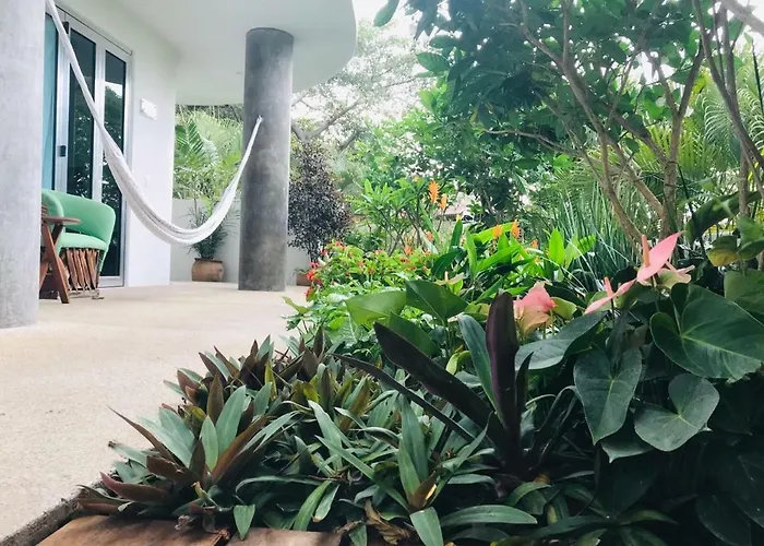 Anjali Casa Divina