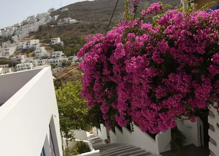 Butterfly View Suites