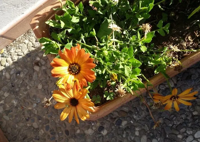 Appartamenti Sul Mare