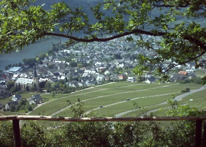 Gaestehaus Steuer
