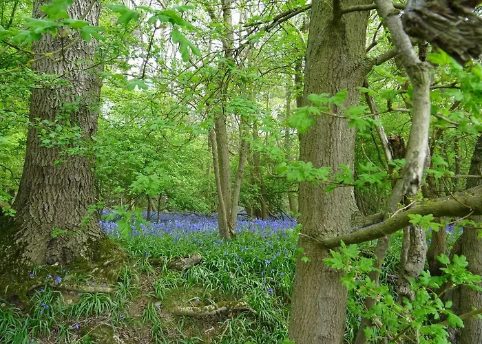 Oakwrights
