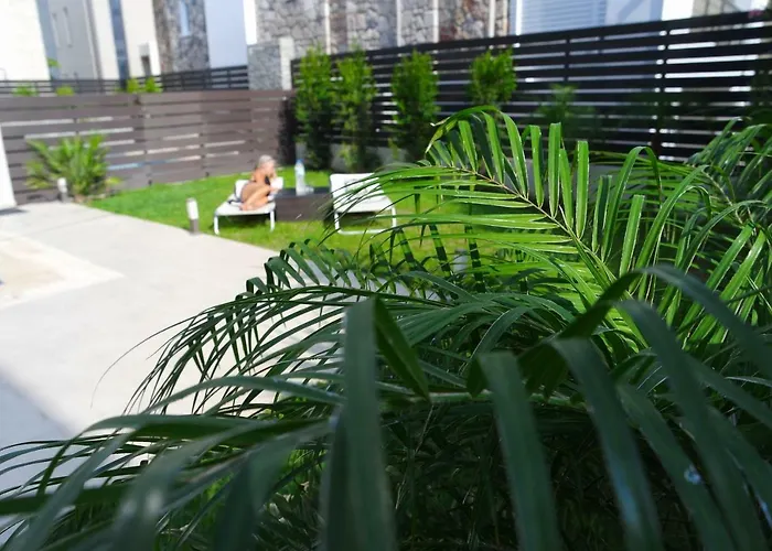 Ixia Breeze 1