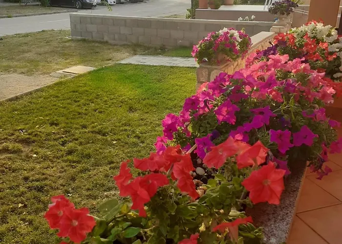 Apartmani Ruza