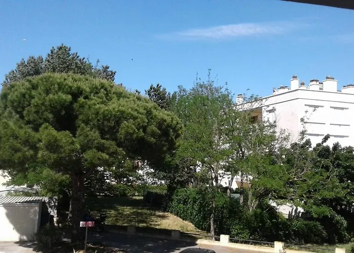 Escale Au Grau Du Roi