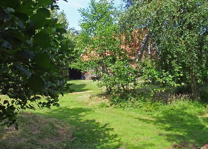 Vakantiehuis De Rommelpot