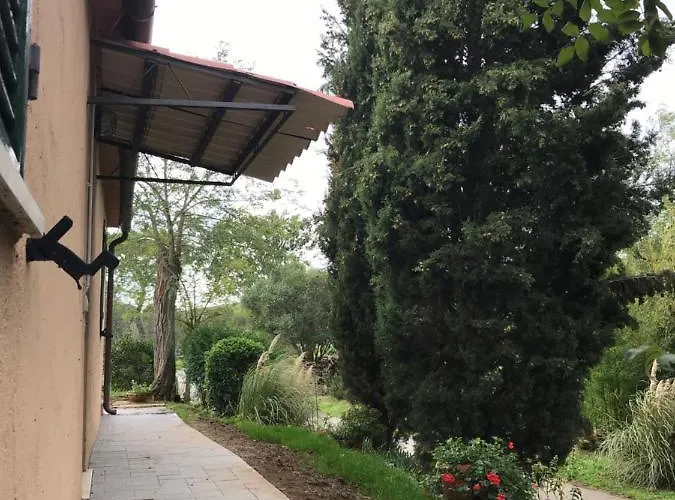 Podere Pini