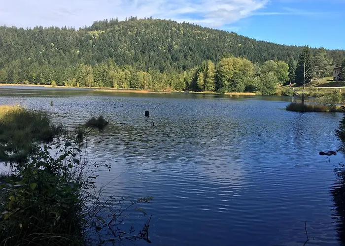 Le Bleu Du Lac Sauna Et Spa