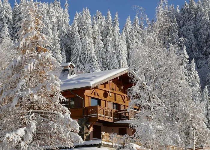 Les Saisies Cote Legette Appartement Dans Chalet Le Nepal