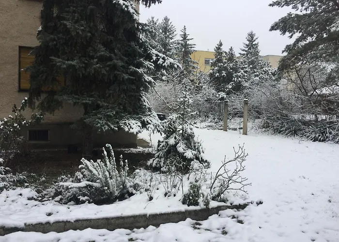 Next To University