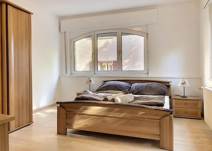 Apartment Sion Center
