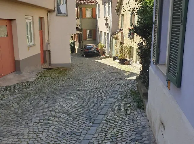 Megi