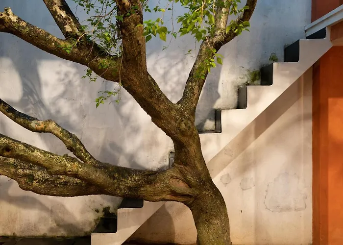 De Saram House By Geoffrey Bawa