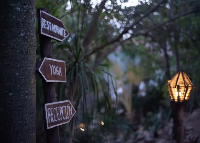 El Alquimista Yoga Spa