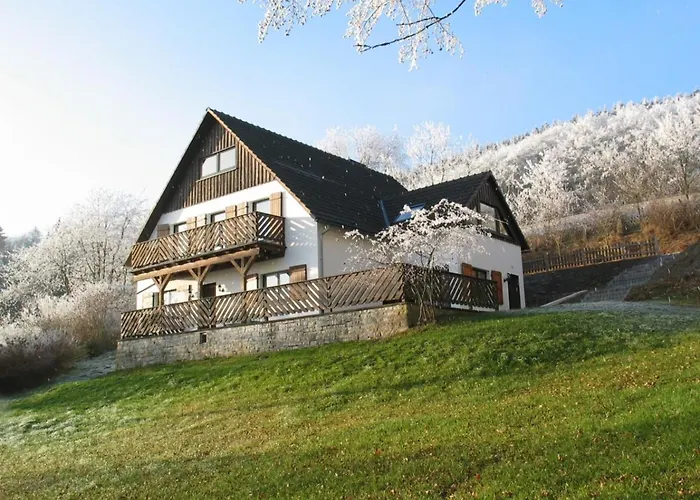 In Der Waldemei