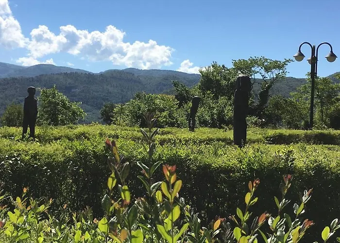 Authentic Villa Surrounded By Nature