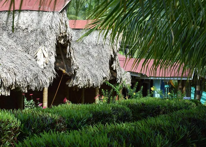 Blue Bird Resort