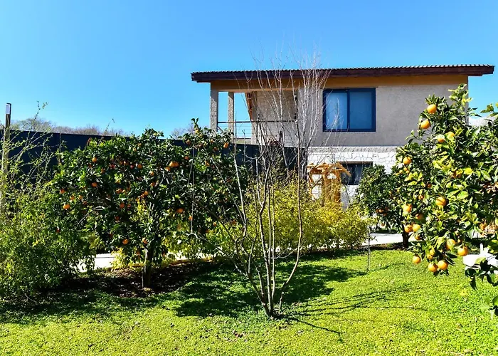 Volans Suites Villas