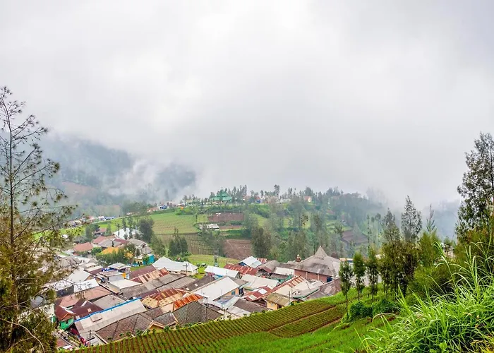 Oyo 3004 Penginapan Bromo Adi