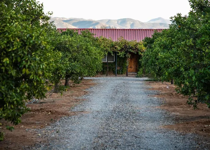 Terra Del Valle Bed & Breakfast